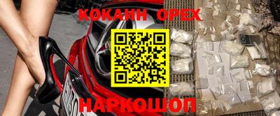 ешки Боровичи
