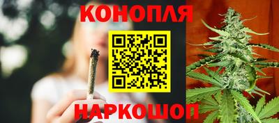 ешки Боровичи