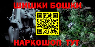 ешки Боровичи