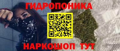 МДПВ Брянск