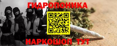 МДПВ Брянск