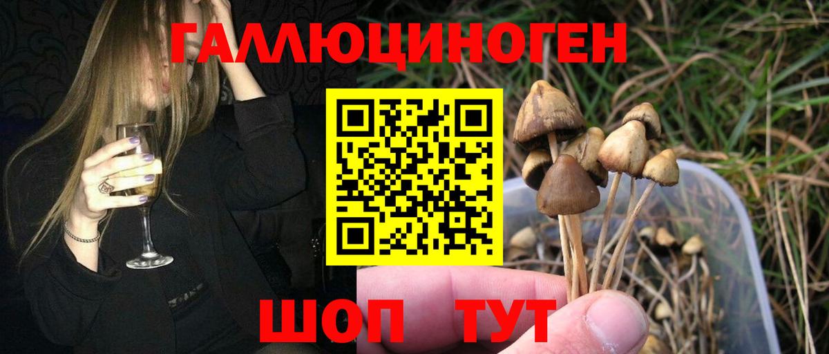 Псилоцибиновые грибы прущие грибы Кимры