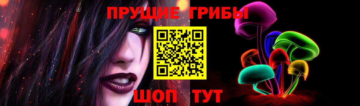 Псилоцибиновые грибы Psilocybe  Вход с VPN  Кимры 